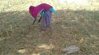 Desi Indian Pacar Lagi Ngebor Ceweknya Yang Lagi Asyik Kerja Di Sawah