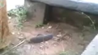 Video Mesum Desi Di Luar, Si Istri Cabul Main Sama Selingkuhan
